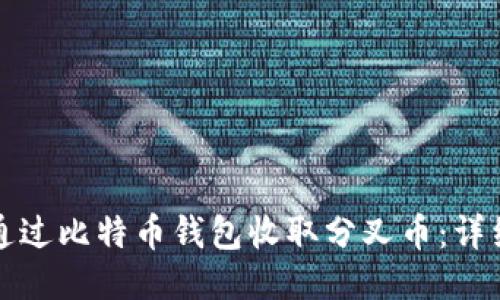 如何通过比特币钱包收取分叉币：详细指南